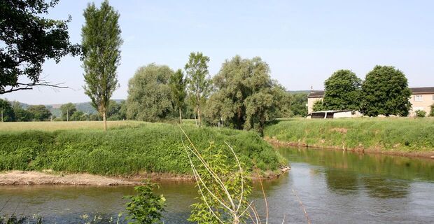 Mündung der Unstrut (rechts) im Naumburger Blütengrund