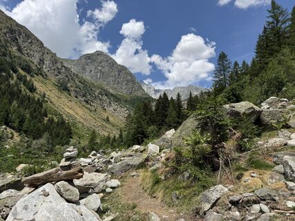 Fotografija s spletne strani Peter Vogt na poti