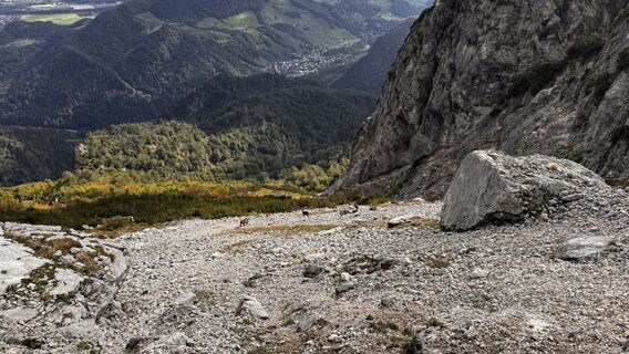 Photo de Simon Beisheim 1 le long du parcours