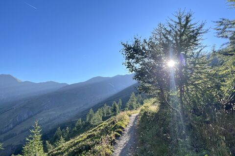 Fotografija s spletne strani Gloop na poti