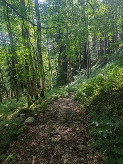 Foto von SFK entlang der Tour
