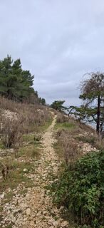 Foto de Davor  Umag City Croatia.?? a lo largo del recorrido