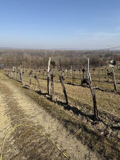 Foto von Jürgen entlang der Tour