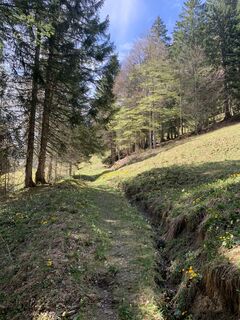 Photo from Ursula Werner along the tour