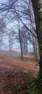 Foto de Franco Bini a lo largo del recorrido