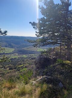 Fotografie z Janez Berdavs na trase