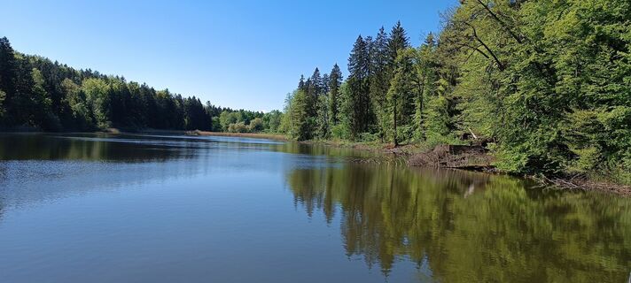 Foto da Jennerwein lungo il tour