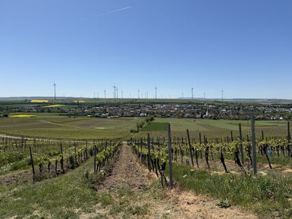 Foto von Guntram Hepperle entlang der Tour