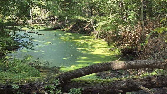 Foto von Katja Senkel entlang der Tour