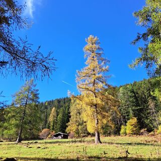 Foto von ursula korn entlang der Tour