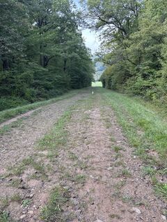 Фото с сайта Margarete Mierzwa во время экскурсии