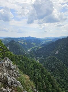 Fotografia z Whitney Dreams na trase