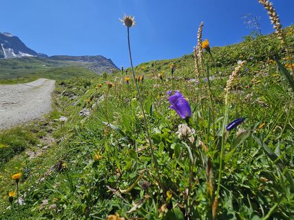 Foto von BARIDIET entlang der Tour