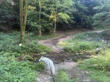 Photo de Caroline Ozog-Orzegowski le long du parcours