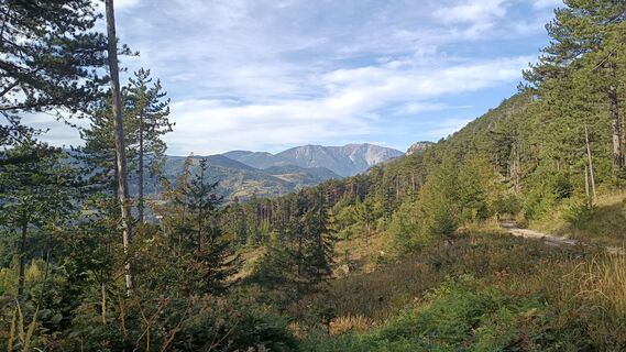 Foto von Bergpirat entlang der Tour