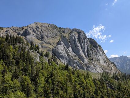 Photo de danistachi le long du parcours