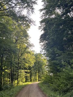 Fotografija s spletne strani Georg B. Meier na poti