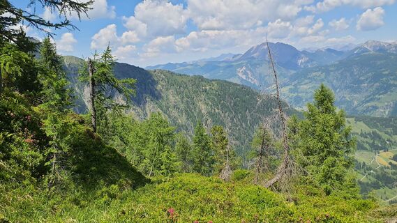 Fotografia z owspu2stk na trase