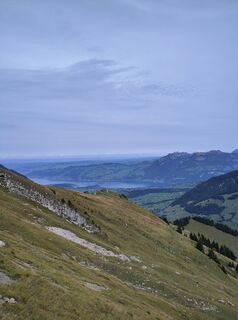 Foto von King Kong entlang der Tour