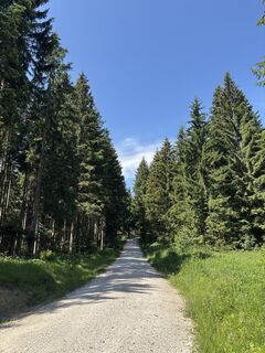 Foto von Heinz Sperl entlang der Tour