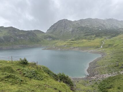 Foto von Grizzli entlang der Tour