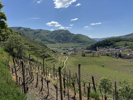 Foto von Leopold 0815 entlang der Tour