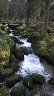 Photo de SchiMi780 le long du parcours
