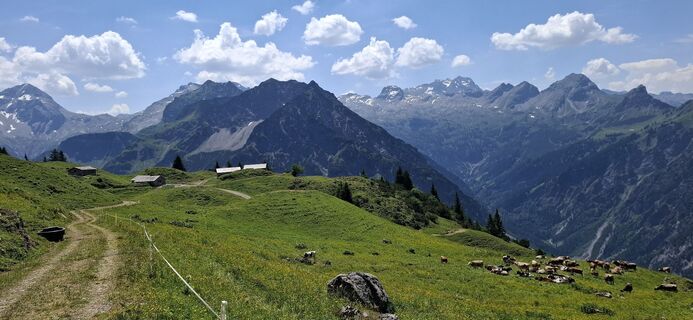 Fotografija s spletne strani David Bubenheim na poti