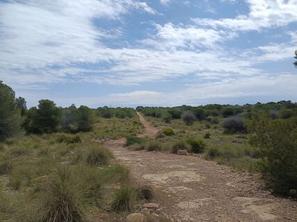 Foto de Da Hias a lo largo del recorrido