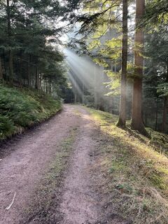 Foto von Simon Seiffer entlang der Tour