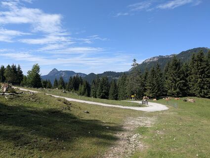 Fotografia z Arne Schlieder na trase