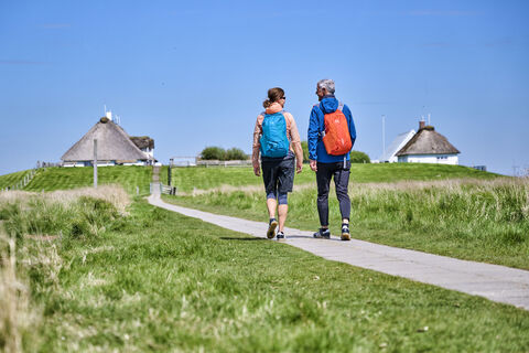 Hamburger Hallig