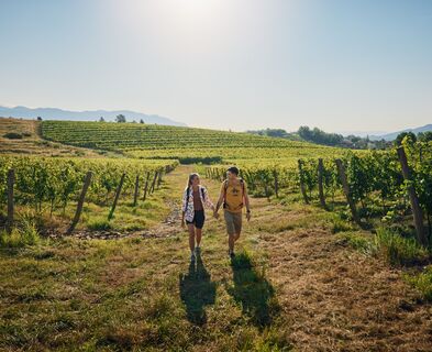 Die erste Etappe ist eine Einführung in die Reise durch die einzigartige Landschaft des Karsts in Slowenien und Italien.