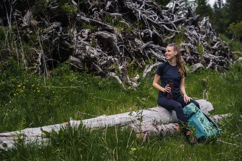 Neben vielen Bänken, bietet sich auch einmal ein gemütlicher Baum als Rastplatz an.