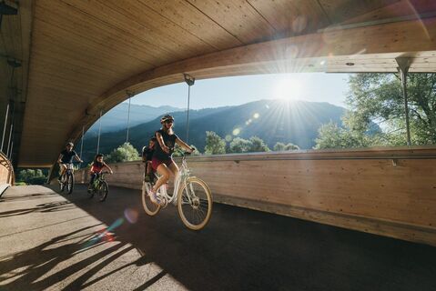 radfahrer-am-drauradweg-2022-c-tvb-osttirol-sam-strauss-fotografie.jpg