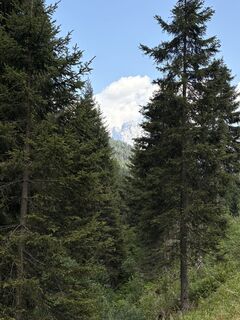 Foto von Pao21 entlang der Tour