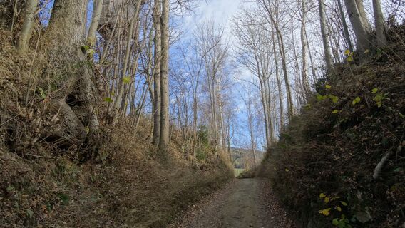 St. Lorenzen - Koller