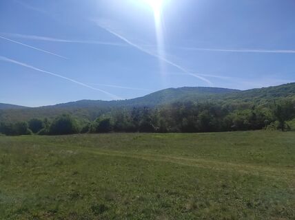 Foto de Làszló Visi a lo largo del recorrido