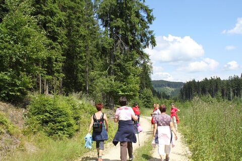 Eisenwurzenweg 608