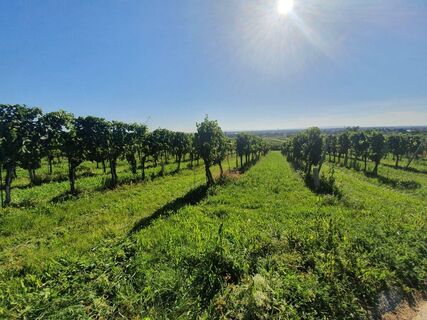 Landschaft