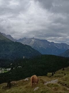 Foto von Aner entlang der Tour