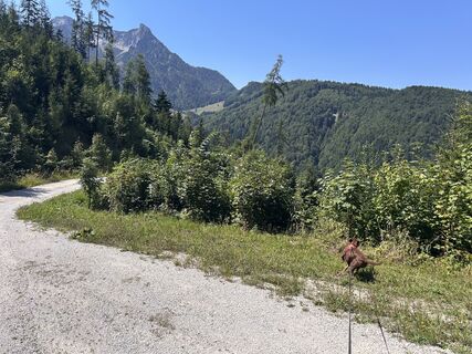 Fotografija s spletne strani Car Wanderfreude na poti