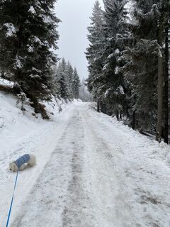 Foto von Fvuilleumier entlang der Tour