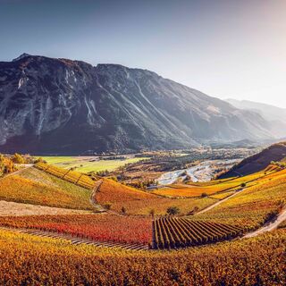 Weinberge zwischen Leuk und Varen