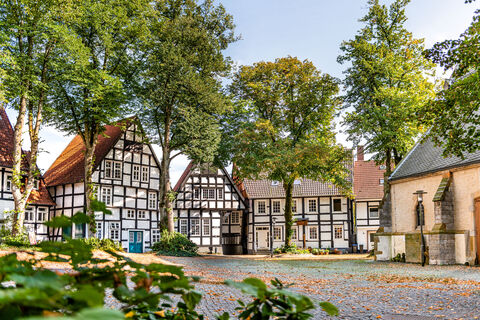 Haller Herz