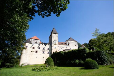 Burg Feistritz