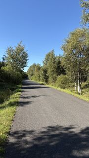 Fotografija s spletne strani Richard Vlcek na poti