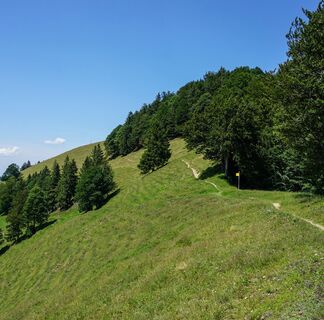 Toggenburger Höhenweg Etappe5 Wanderweg