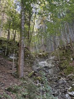 Fotografija s spletne strani Tine Harth na poti