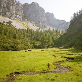 kaserboden-wandern-natur-filzmoos